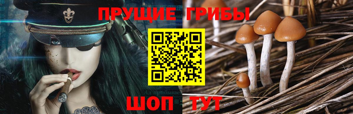 Галлюциногенные грибы GOLDEN TEACHER Звенигород